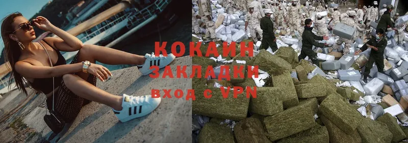 дарнет шоп  Курганинск  COCAIN Fish Scale 